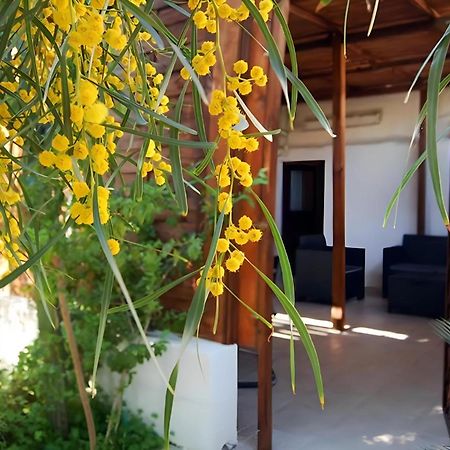 Sea Breeze Villa - Sole Apartment Μπάρι Εξωτερικό φωτογραφία