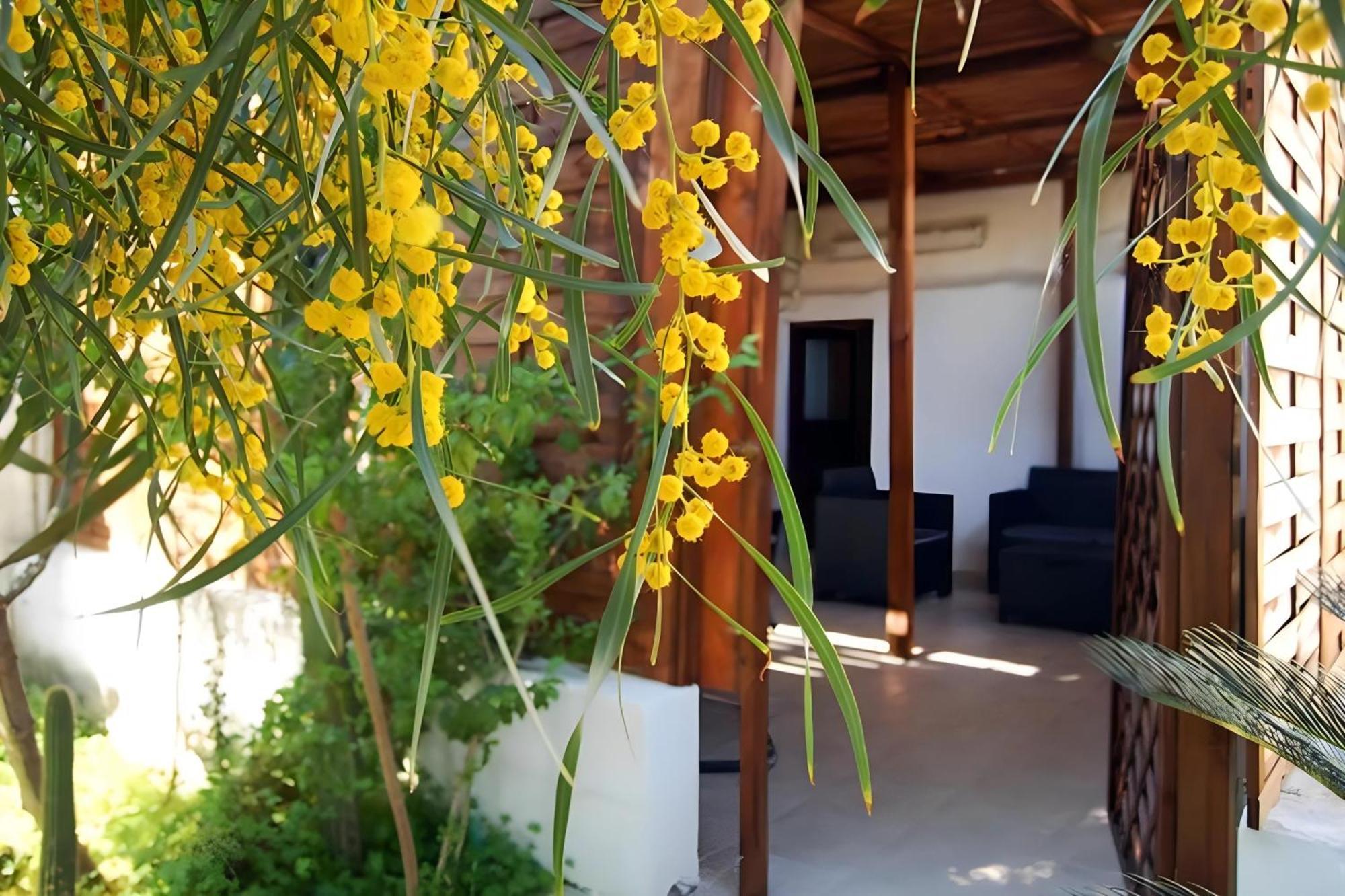 Sea Breeze Villa - Sole Apartment Μπάρι Εξωτερικό φωτογραφία